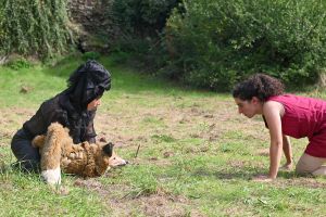2025 09 tf25 theatreaile vinzieux c rachelpaty12