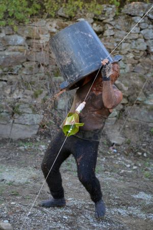 20250927 tf25 locussolus vinzieux c renaudvezin