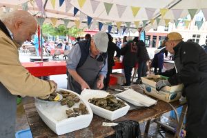 2025 09 28 tf25 piquenique annonay c rachelpaty